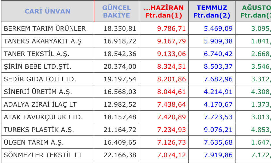 Borçlu Cari Hesaplar