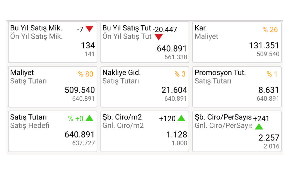 Satış-Kâr İstatistik